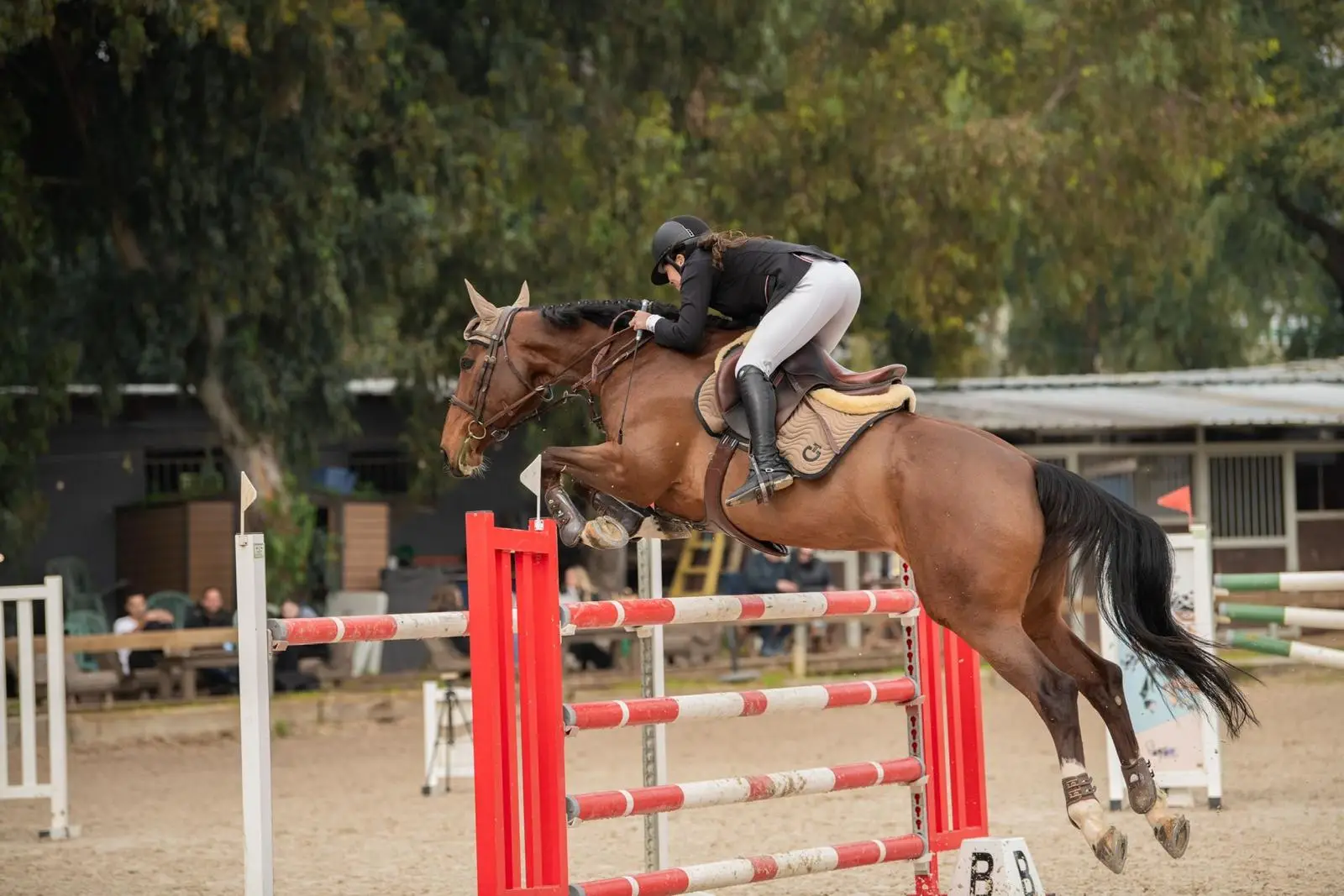 לימוד רכיבה ספורטיבית