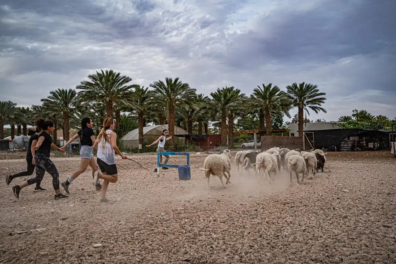 סדנה תיירותית - לקבוצות ומשפחות