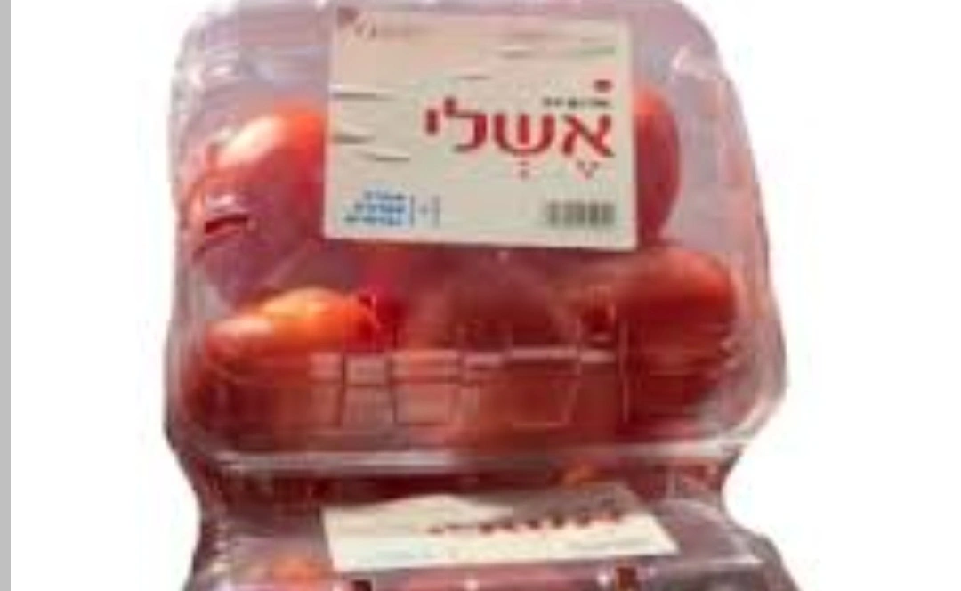 מארז אשלי
