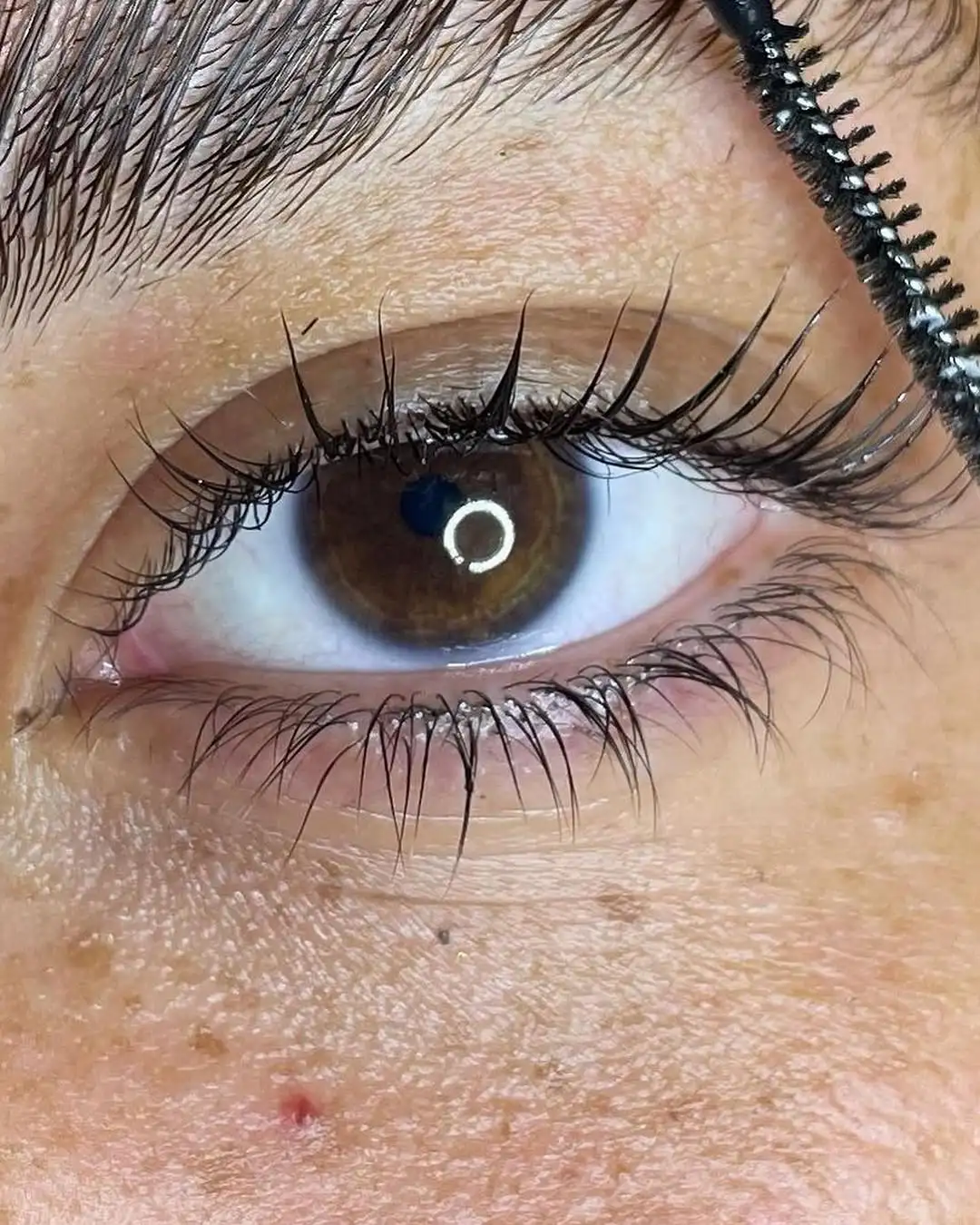 הרמת ריסים – הדגשת היופי הטבעי שלך בצורה מושלמת