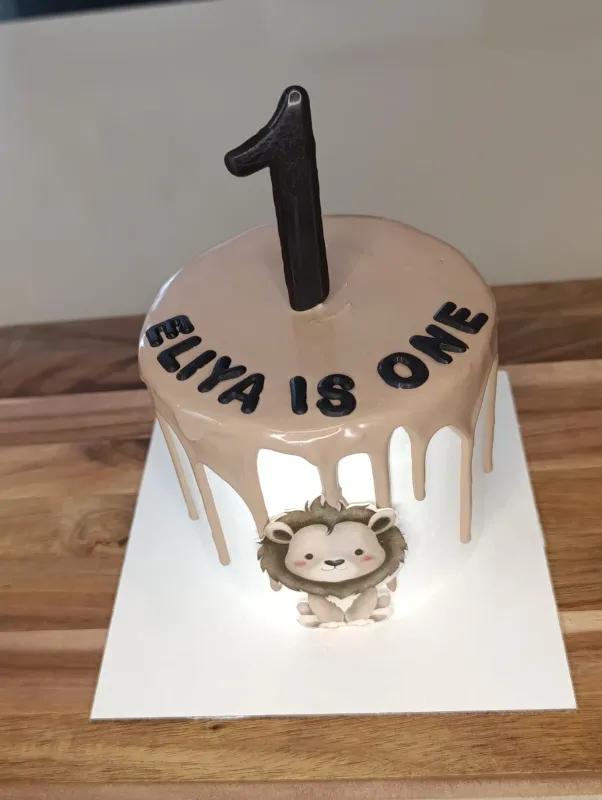 אישית טיפטופי שוקולד ואריה חמוד