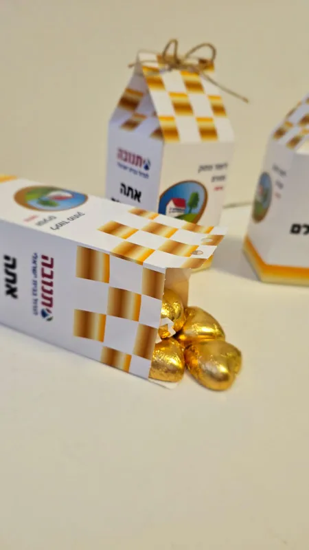 קרטון חלב במילוי שוקולדים