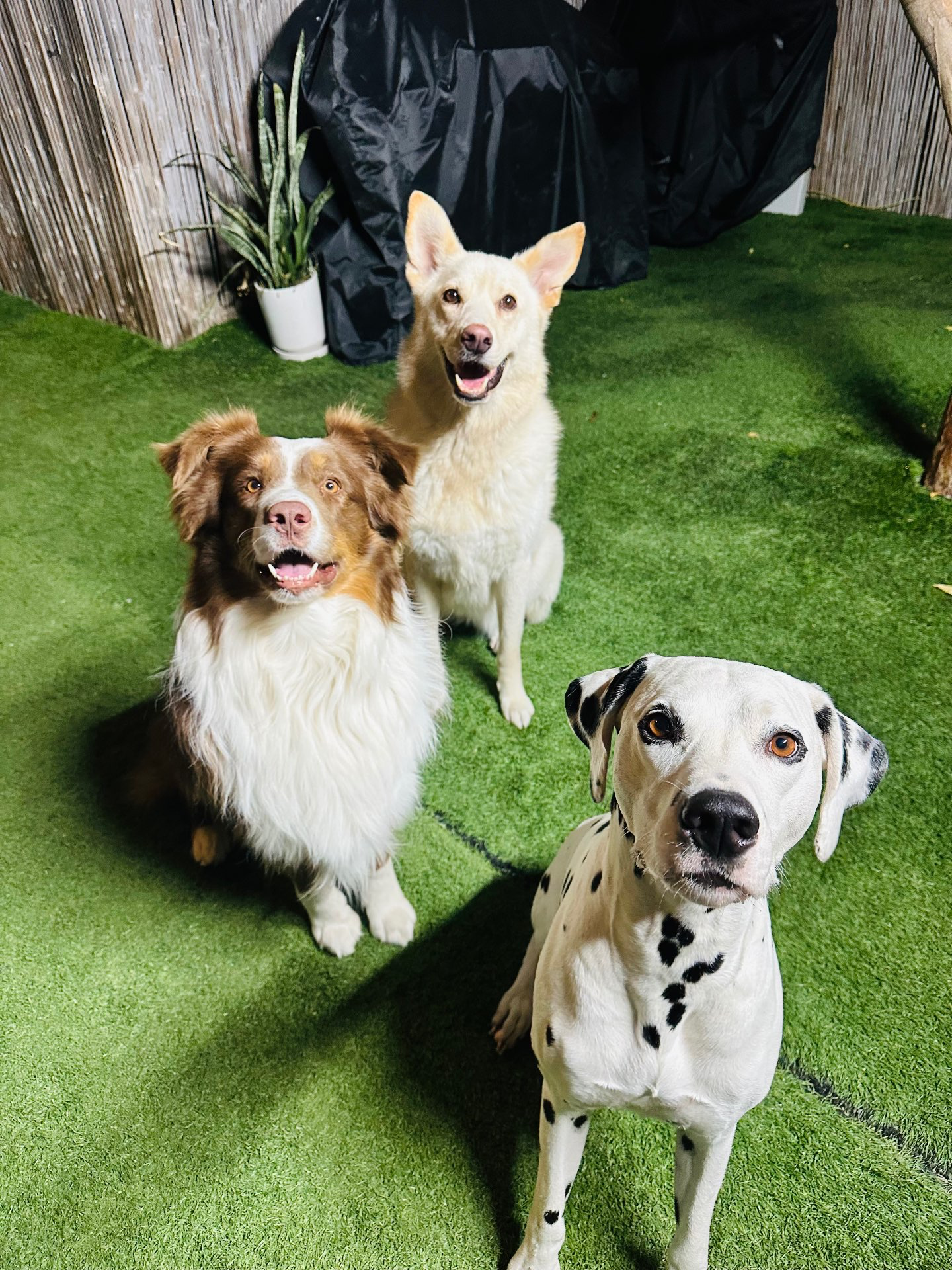 פנסיון שהות