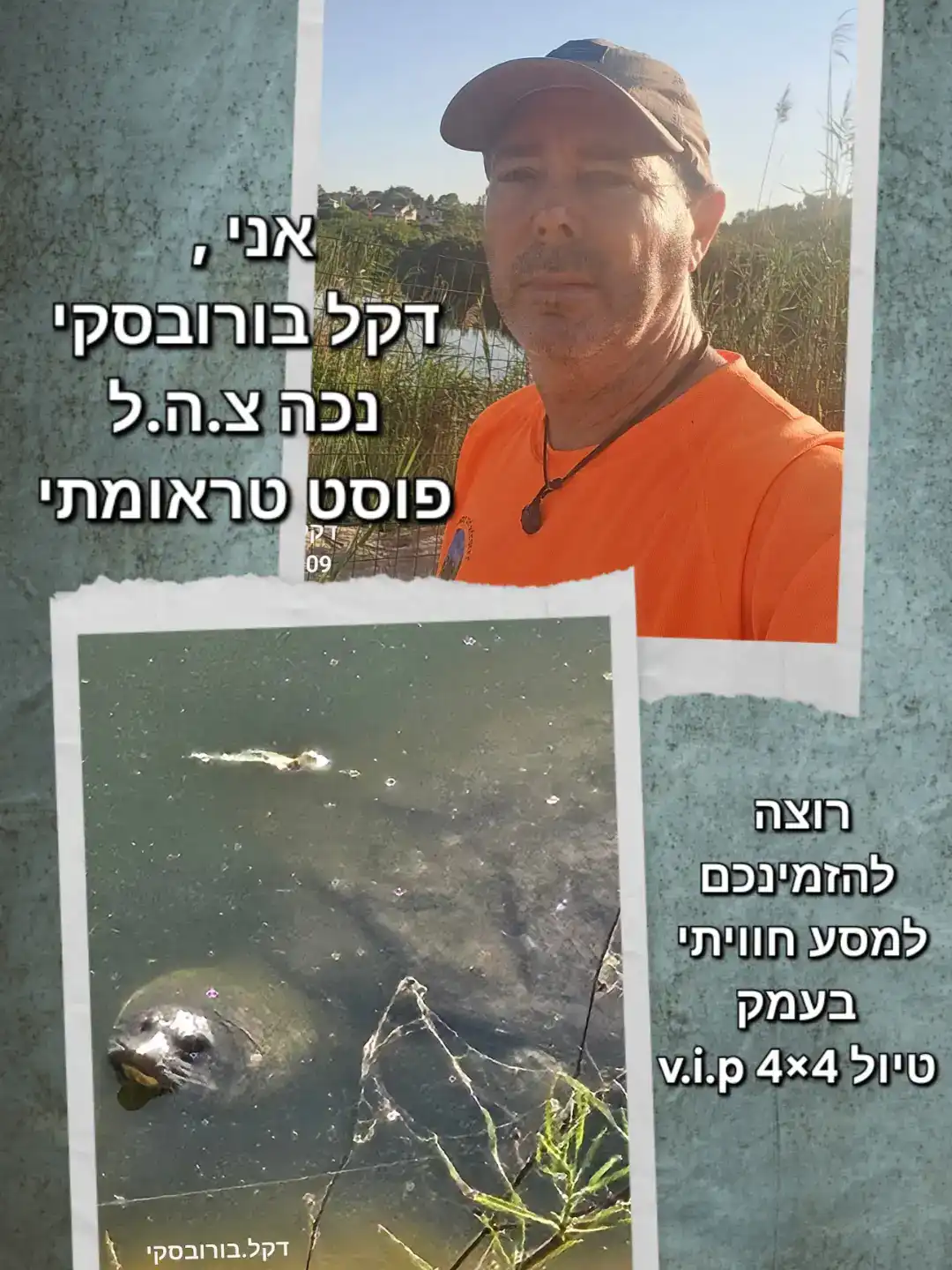 גשר הצבים