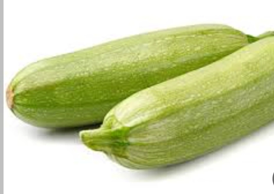קישוא