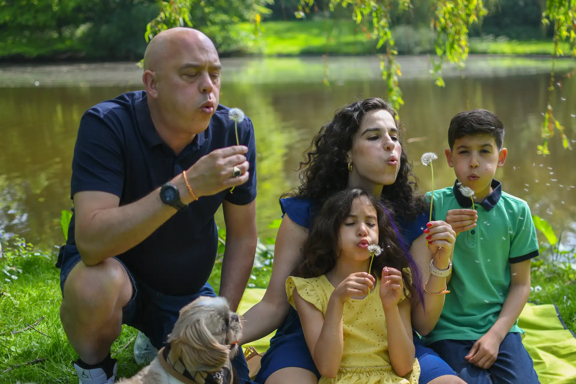 צילומי משפחות