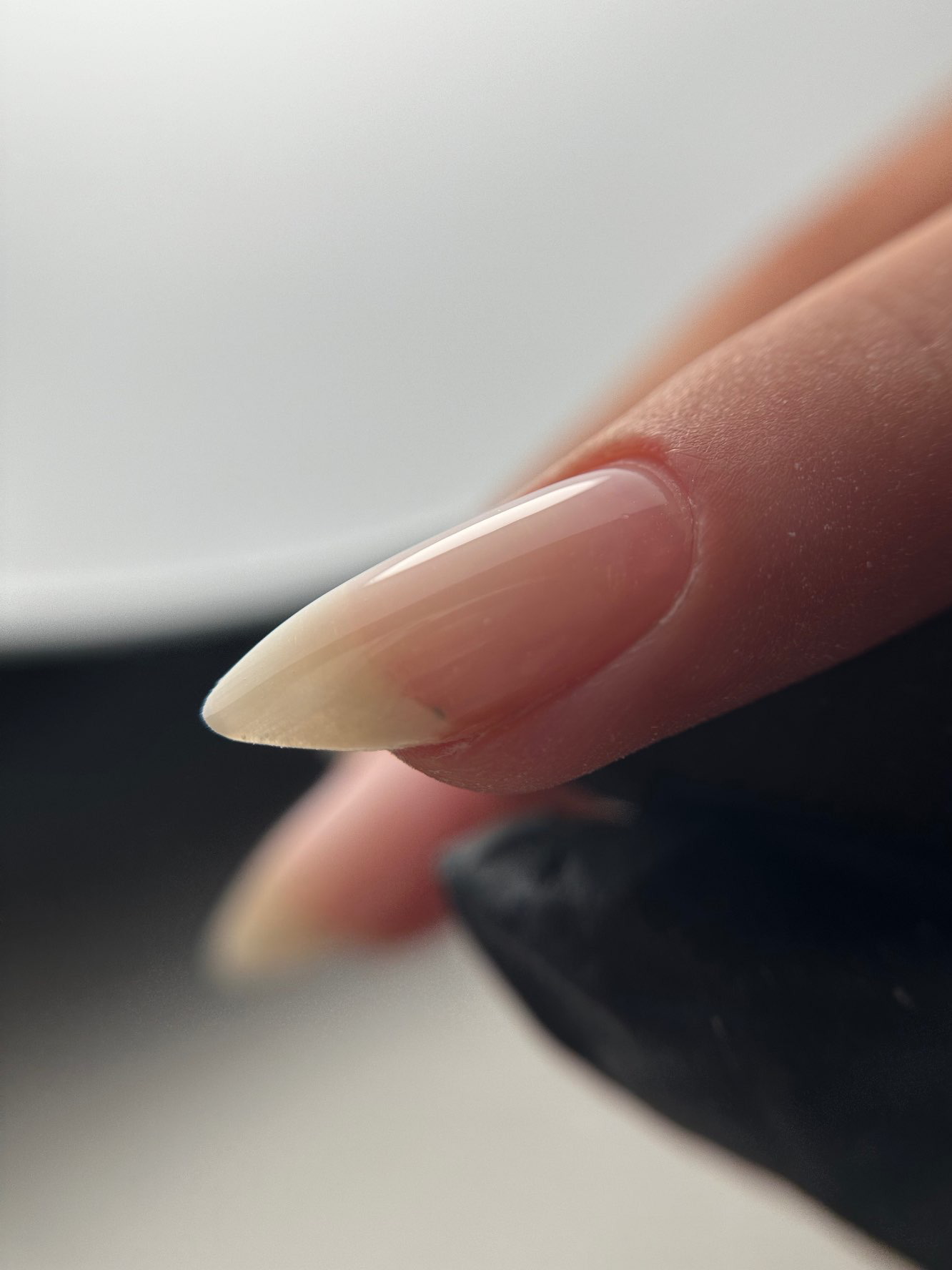 לק ג’ל ומבנה אנטומי – שילוב של יופי, חוזק ודיוק