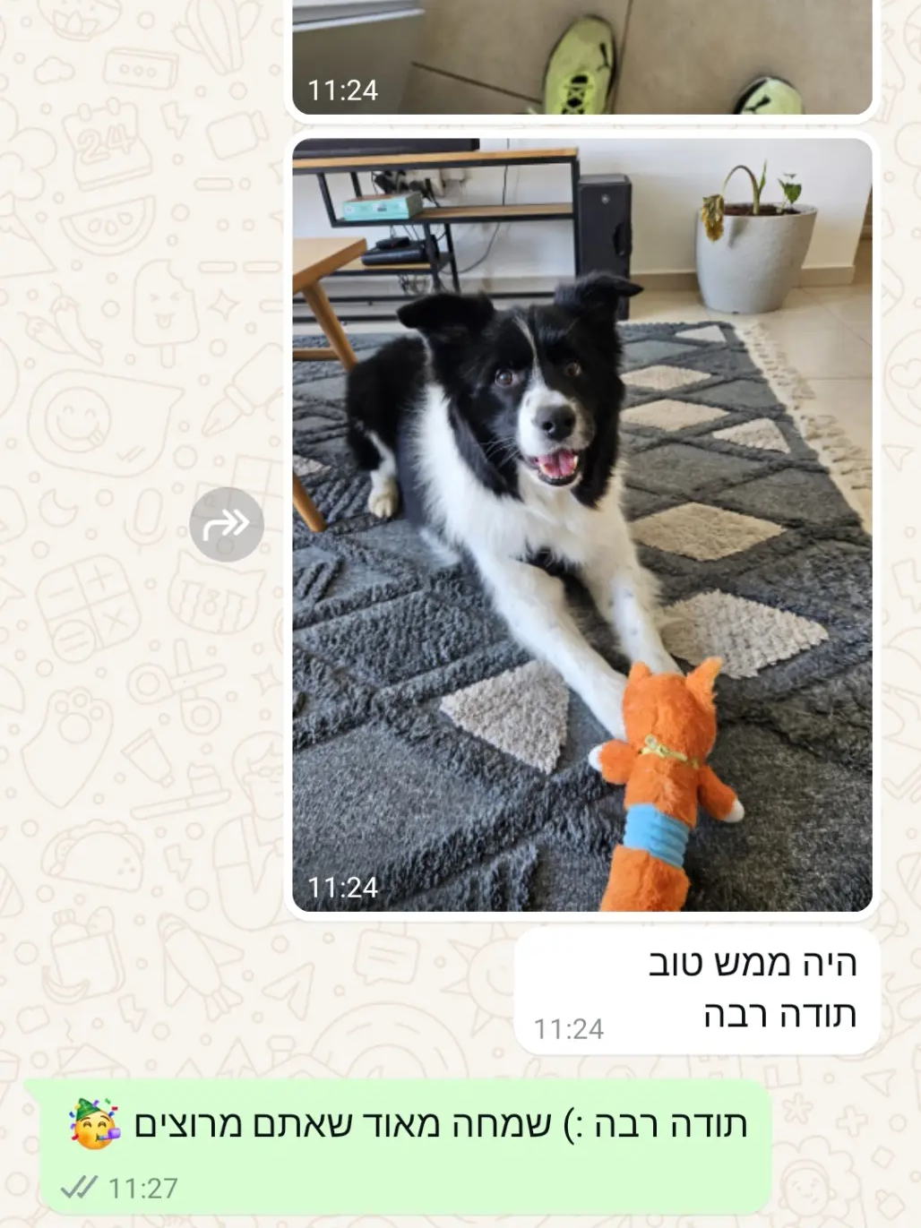 קוקו המתוק :) 