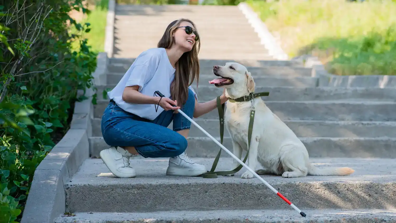 כלבנות טיפולית לבעלי צרכים מיוחדים – קשר בלתי מילולי שמשנה חיים