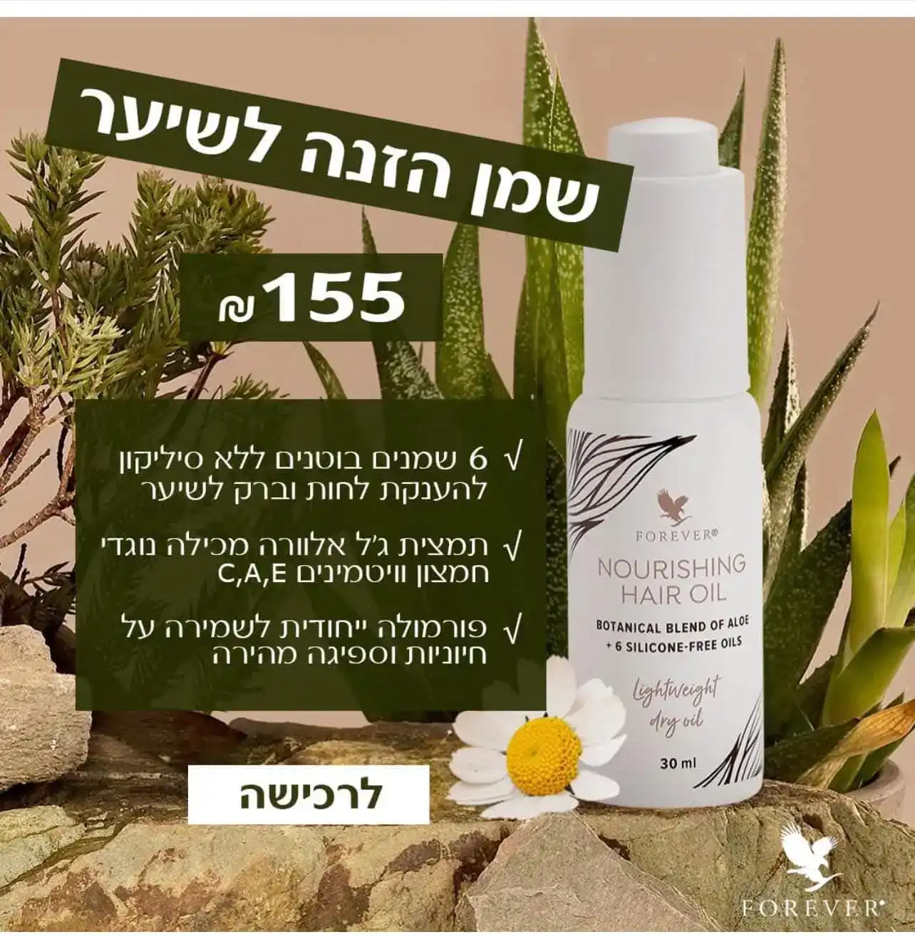 טיפוח ויופי