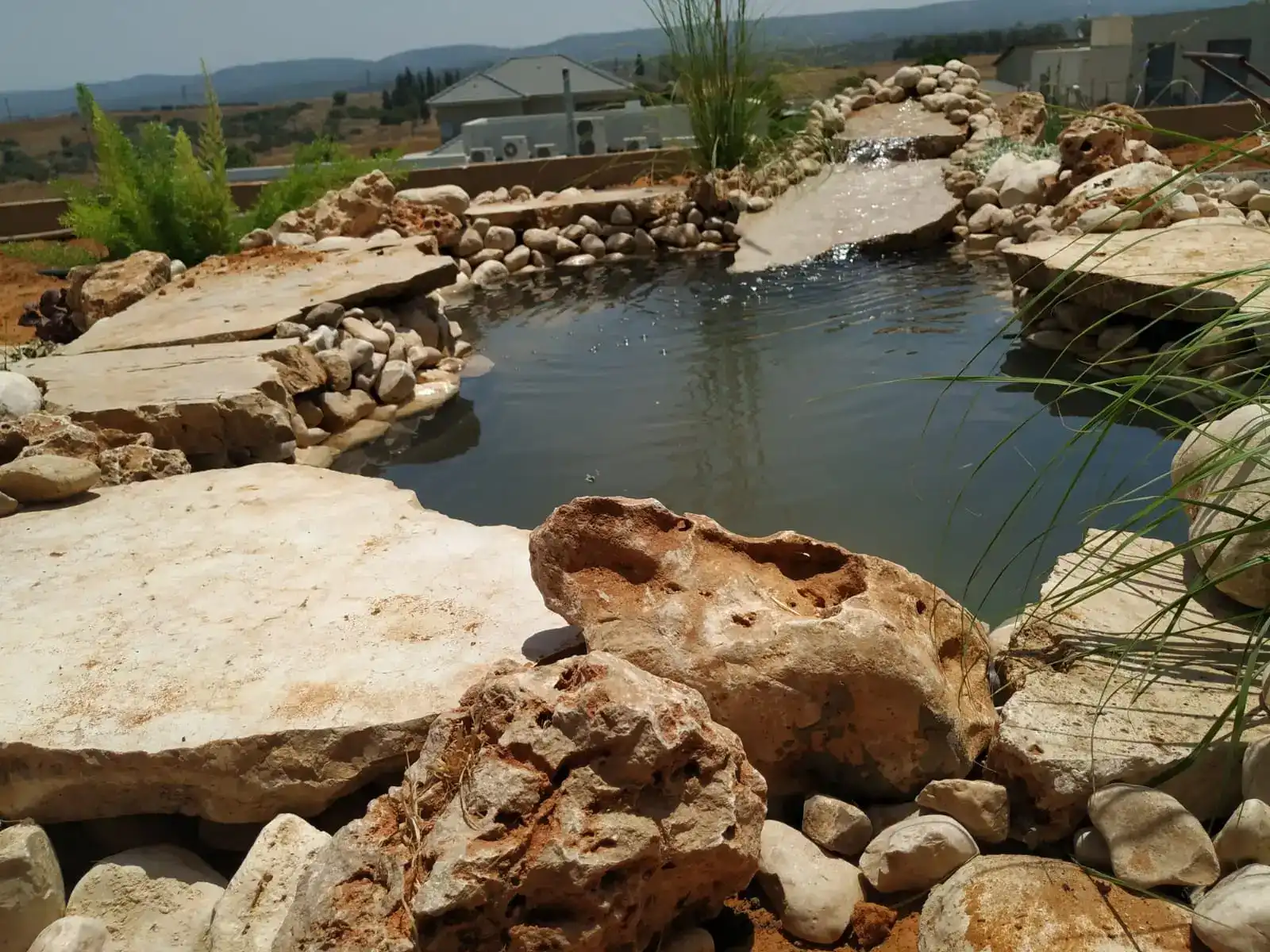 הקמת בריכות נוי – עיצוב מים טבעי ומרגיע לגינה