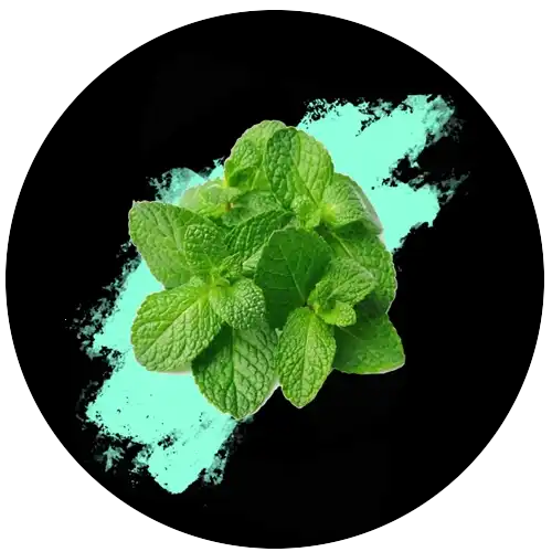 PINUKIT MINT - GIFT SET