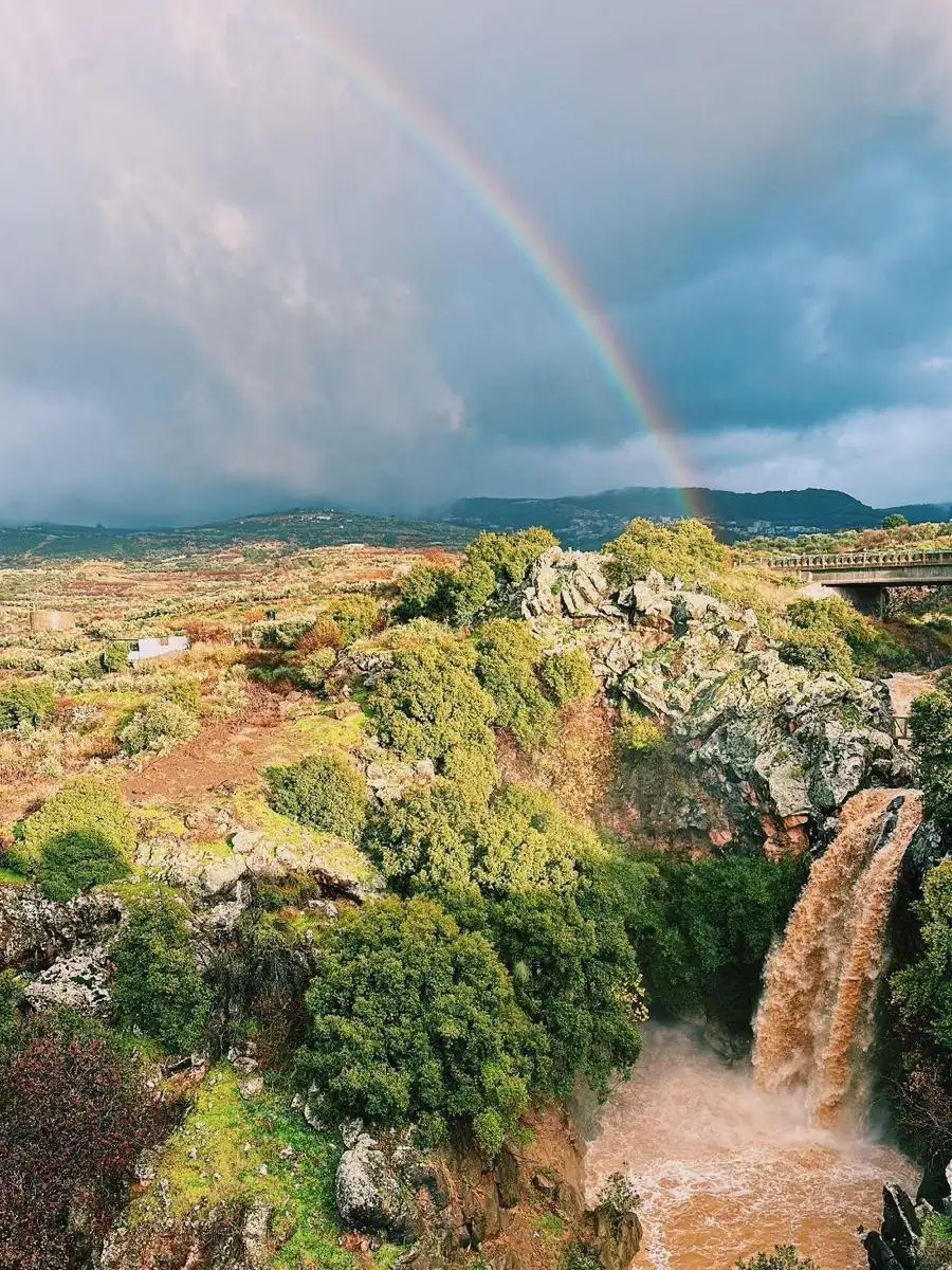 הנוף באיזור