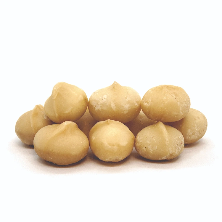 אגוז מקדמיה טבעי - 300 גרם