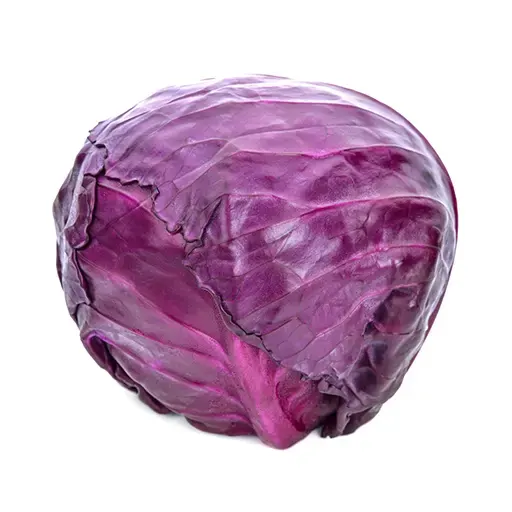 כרוב אדום - 1 יחידה