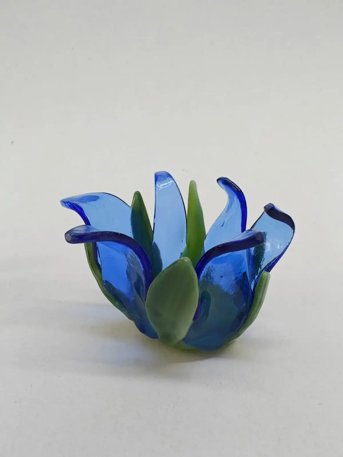 חוג לפיוזינג