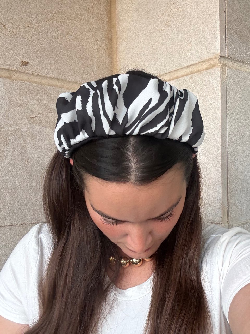 קשת שיפון-זברה