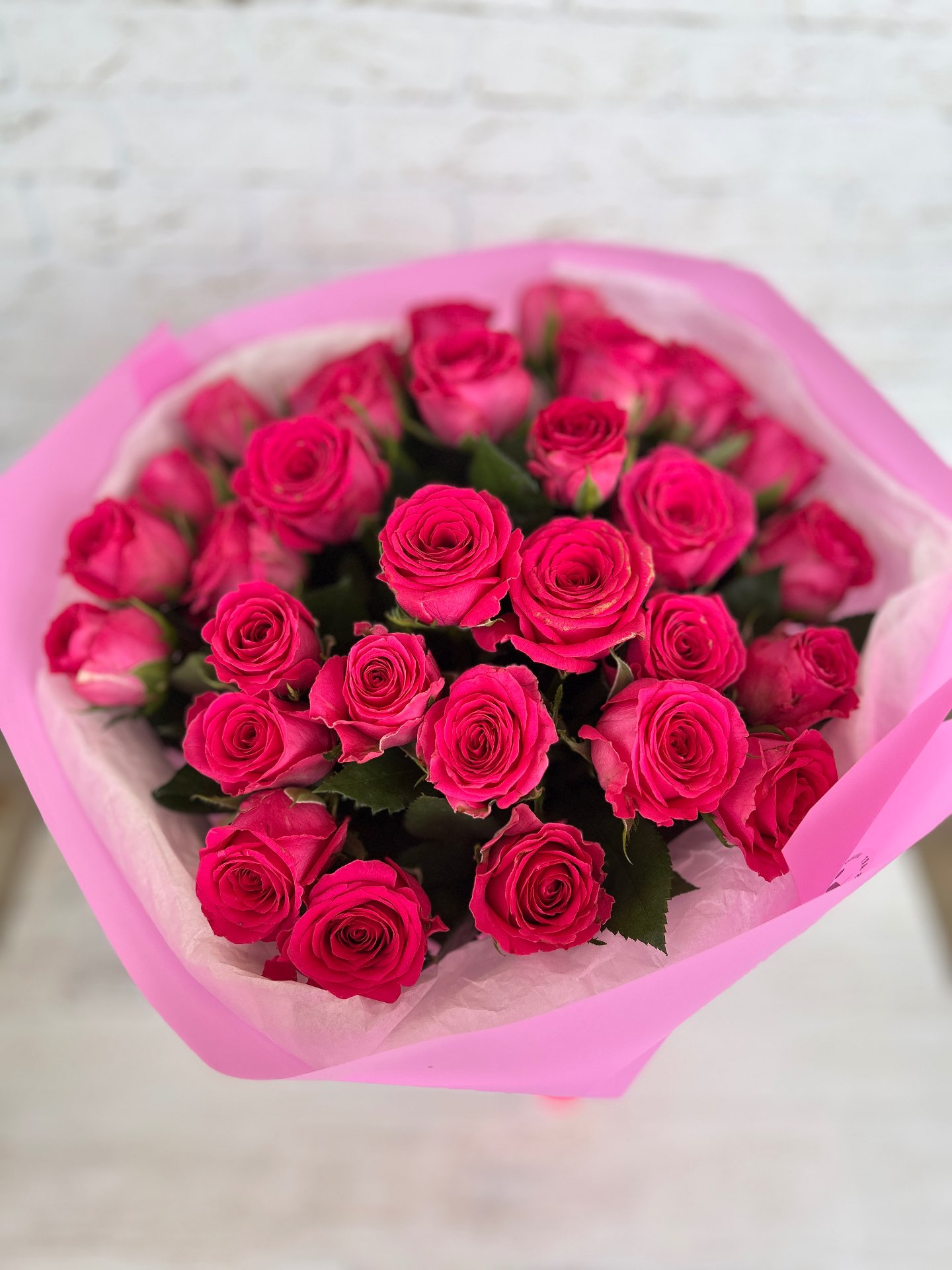 ורד פוקסיה ורוד 200₪