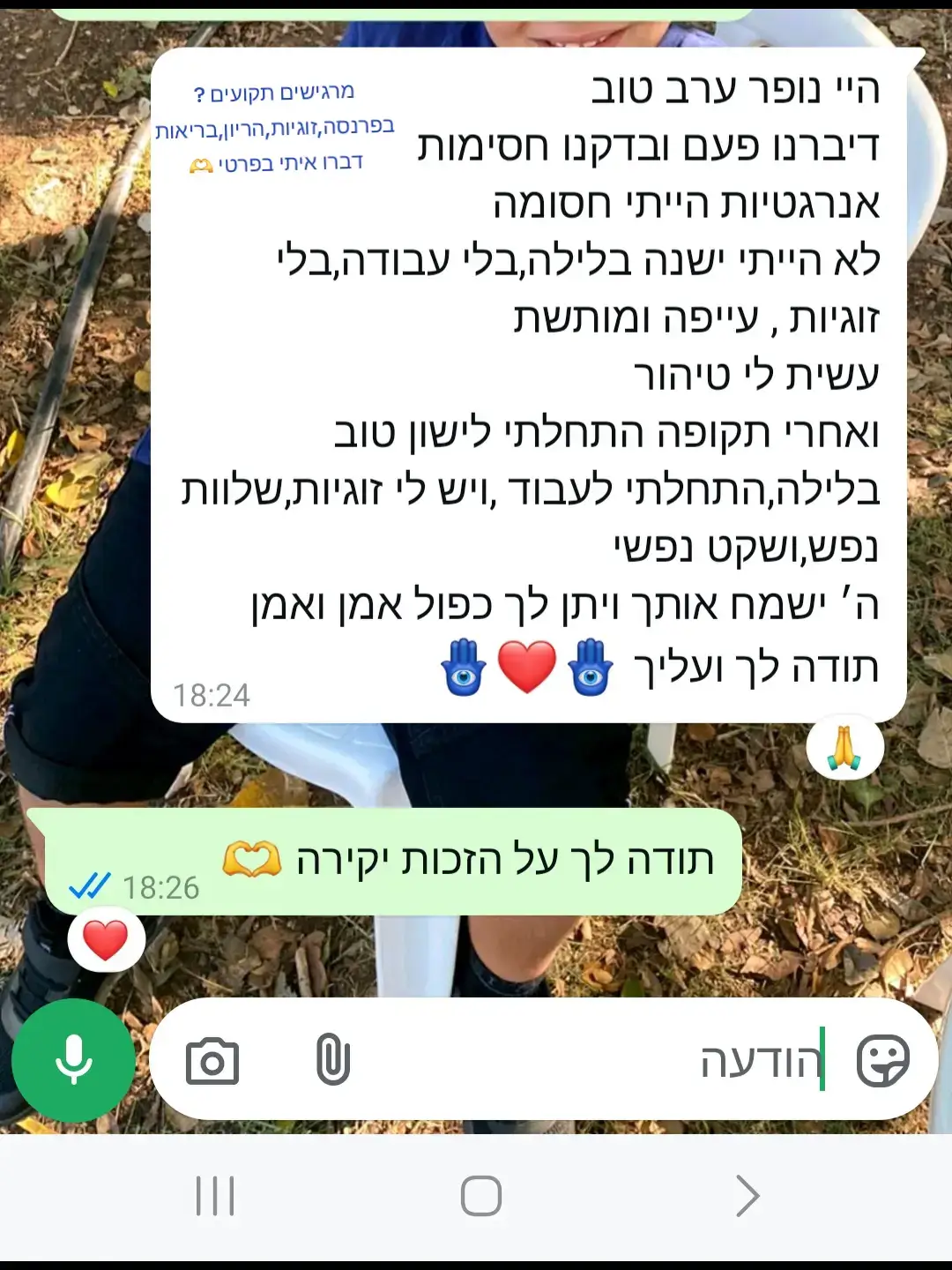 פתיחה וטיהור