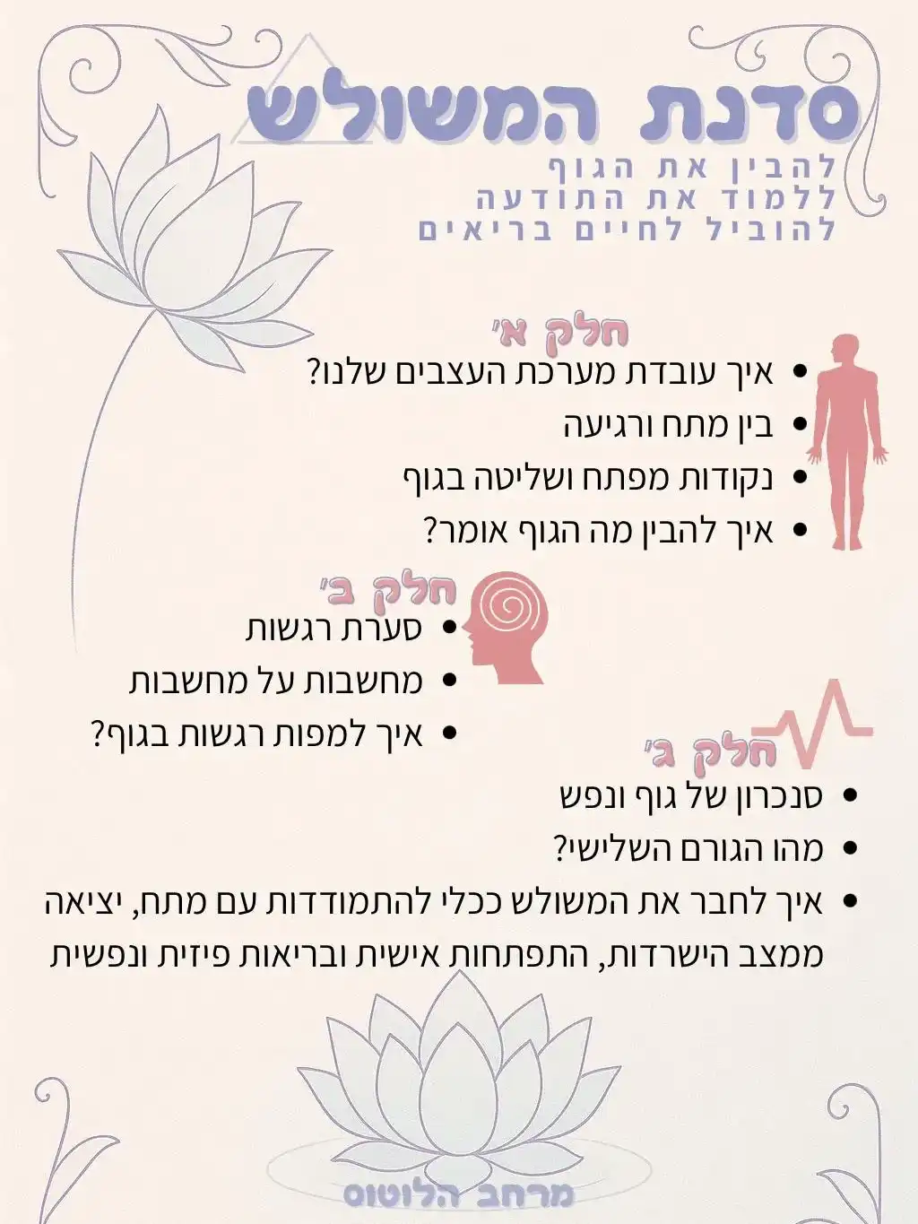 סדנת המשולש