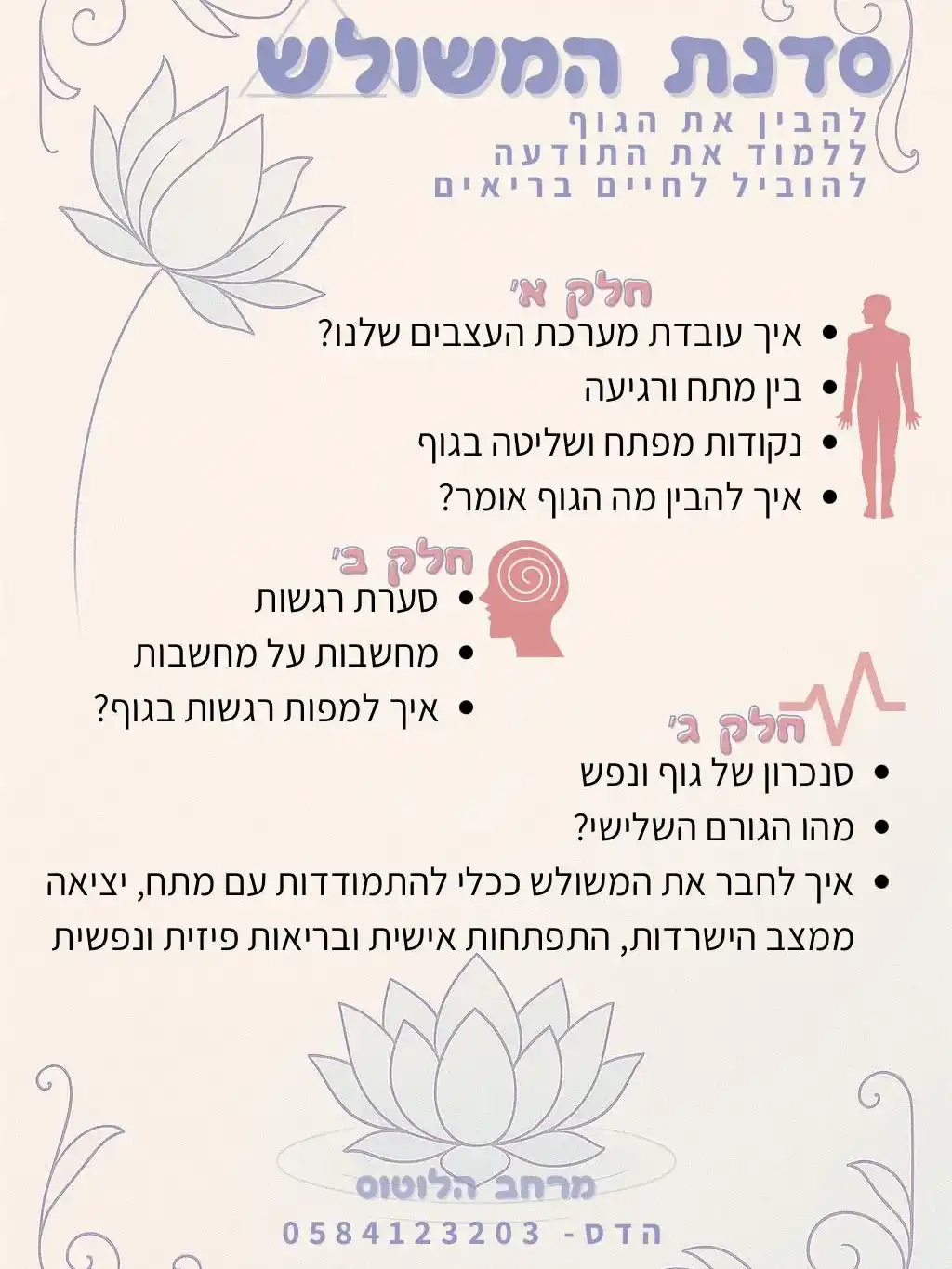 ליווי לניקוי ואיזון עצבי
