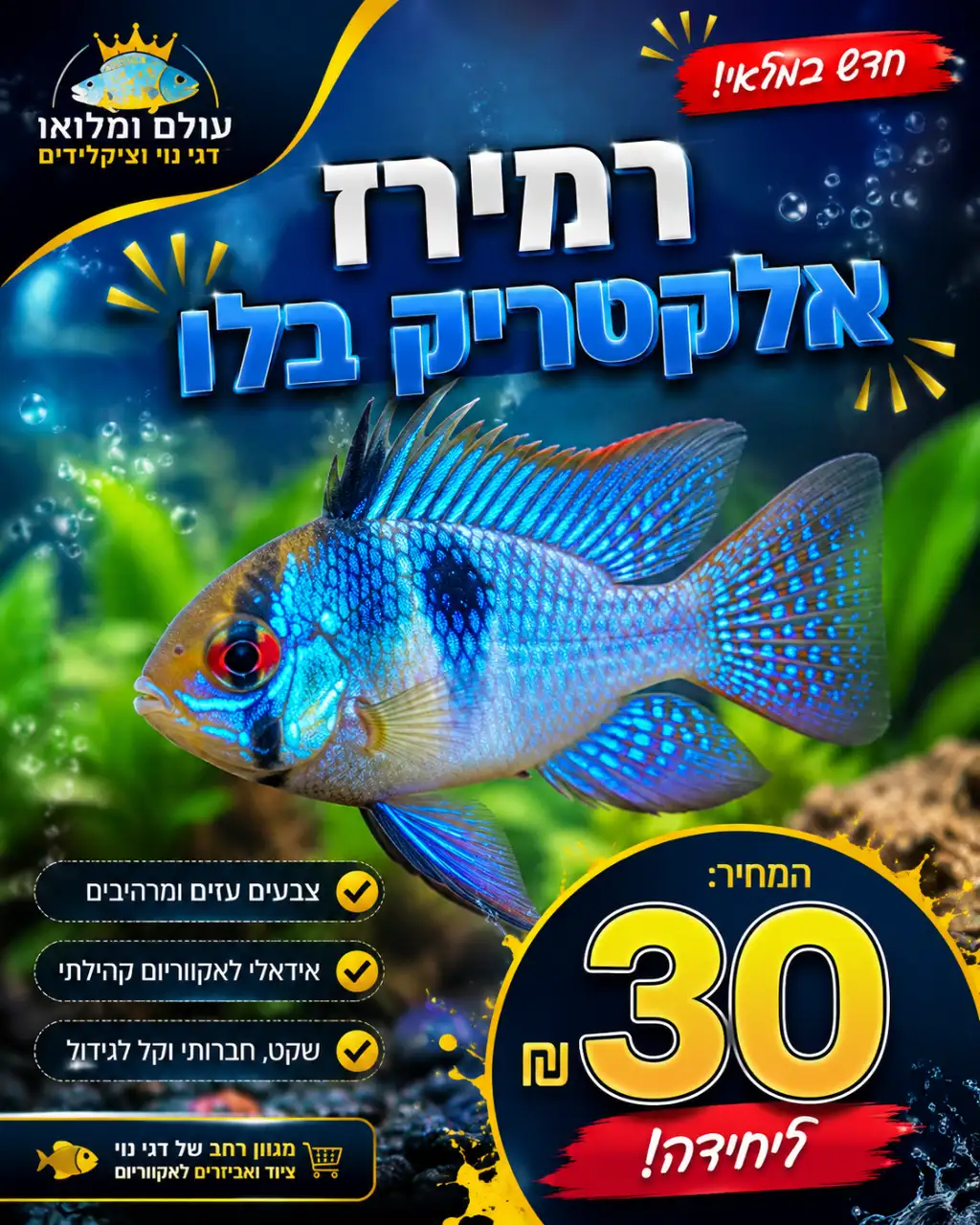 media