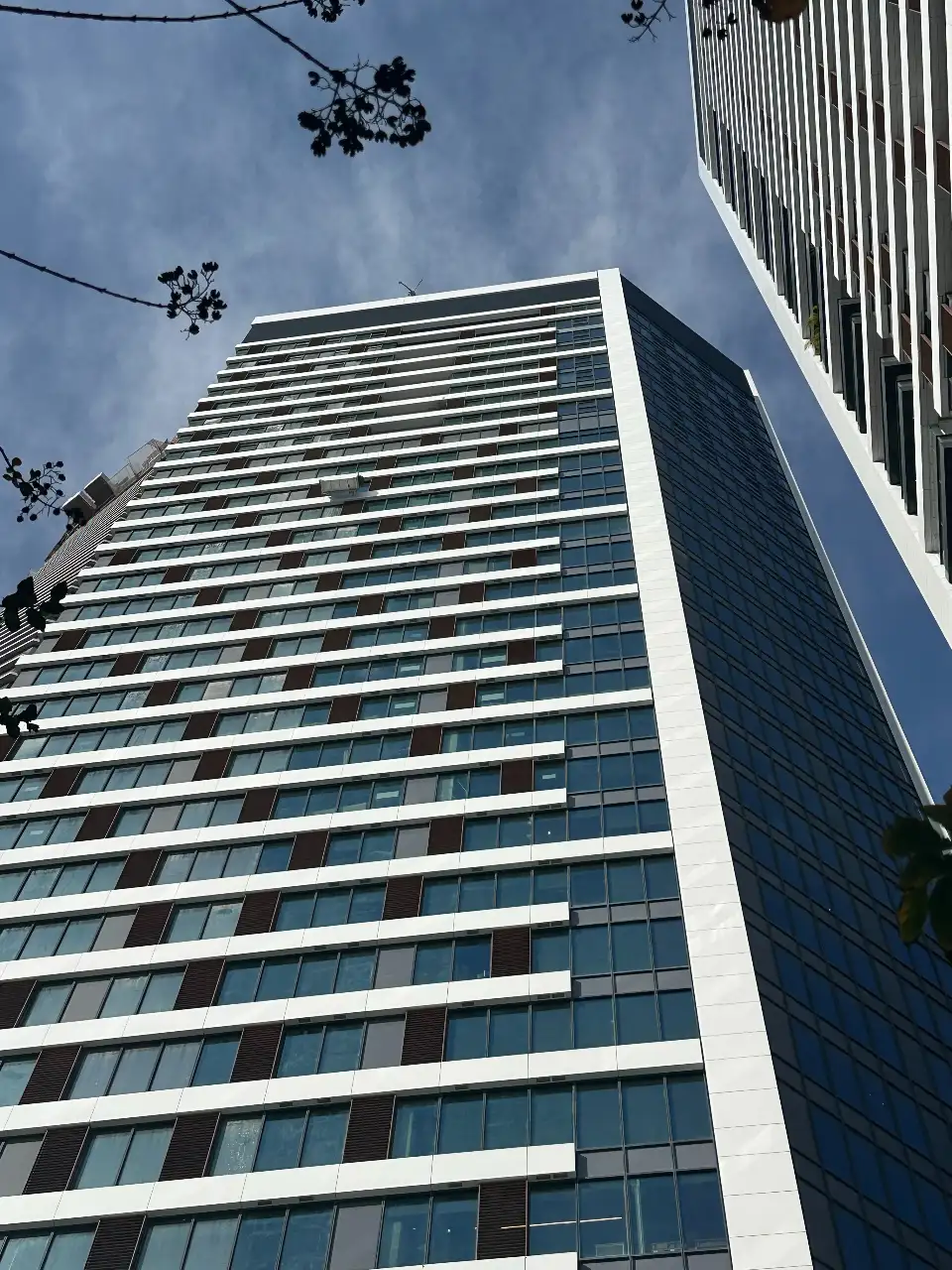 נקיון חזיתות