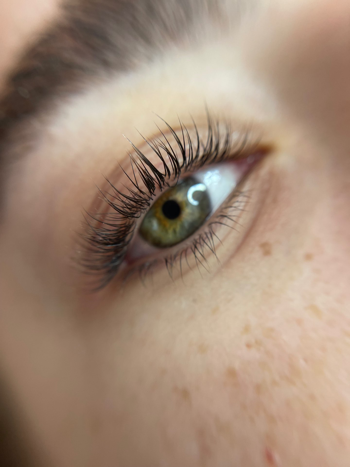 הרמת ריסים מקצועי | Brow by shoval