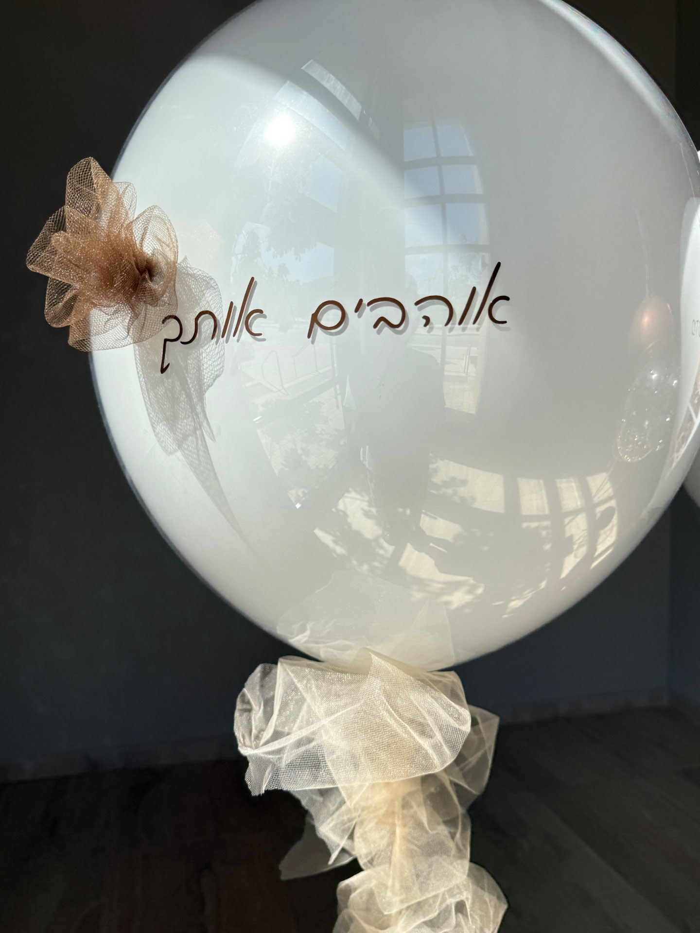 בלון זכוכית L עם טול בחוט בעיצוב יוקרתי ורומנטי | VALI