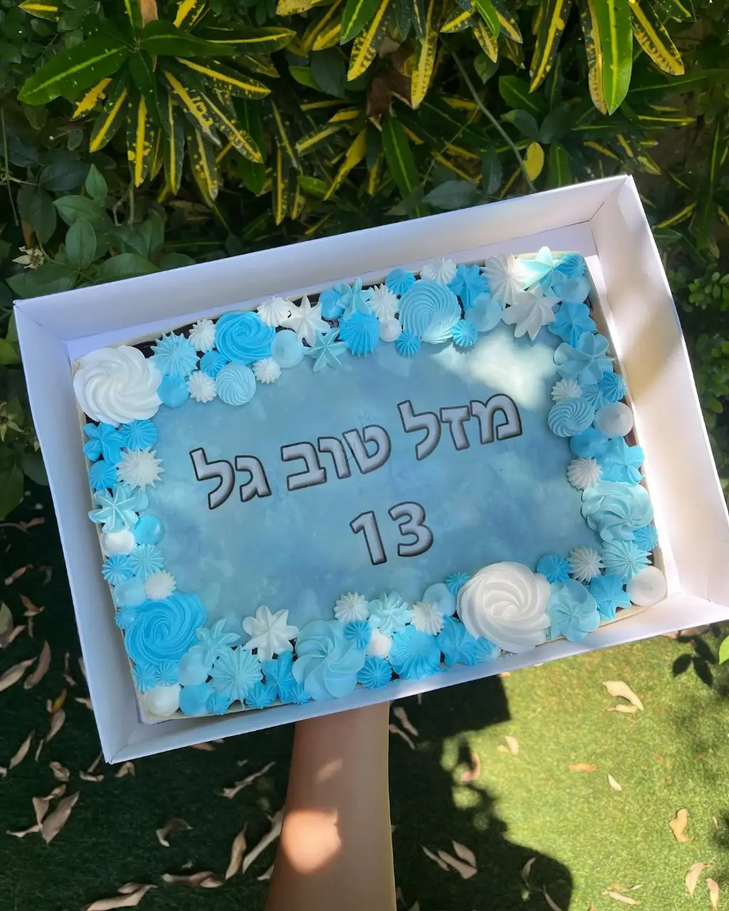 עוגת גן