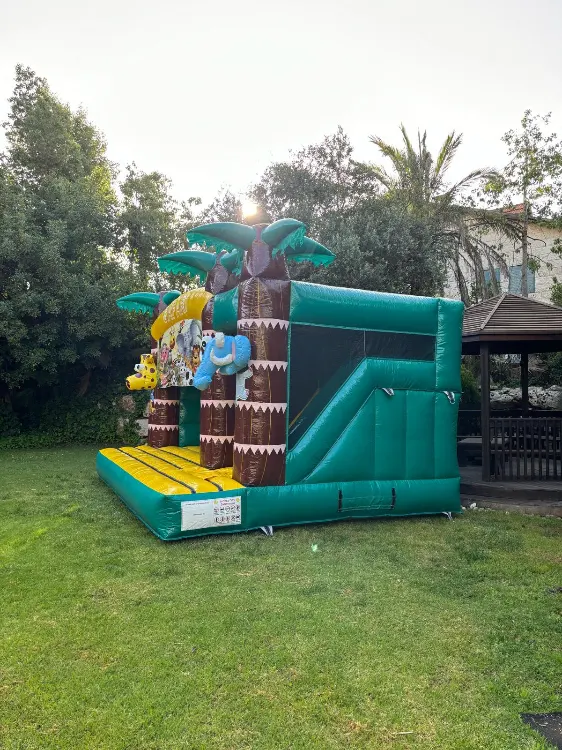 ספארי