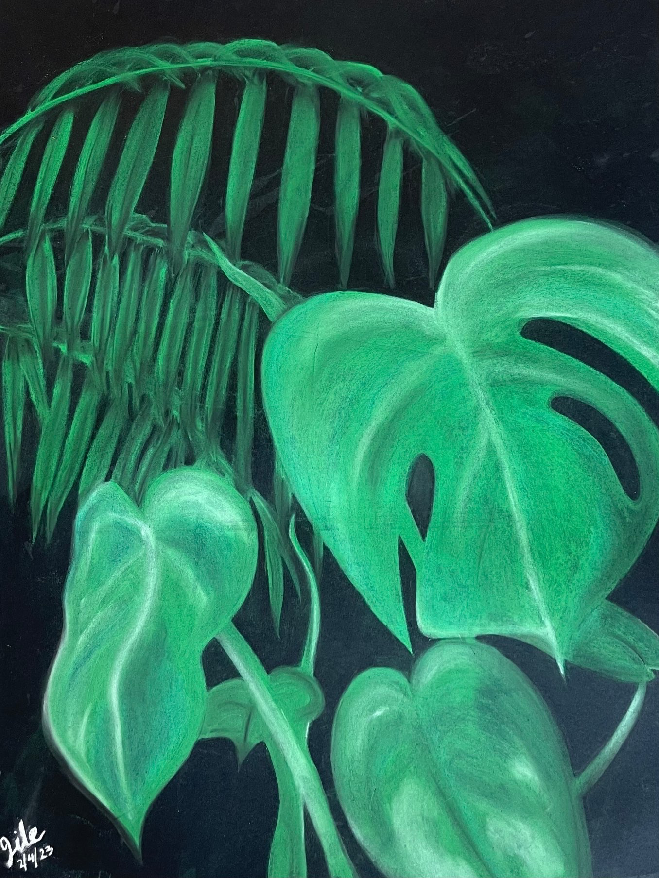 Jungle