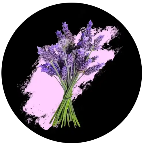 Pinukit Lavender - Large pillow