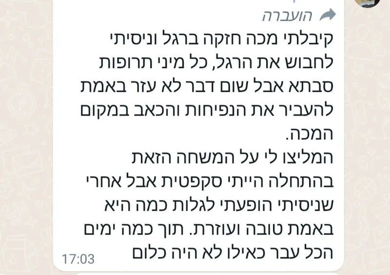ג'ל אלוורה עם msm