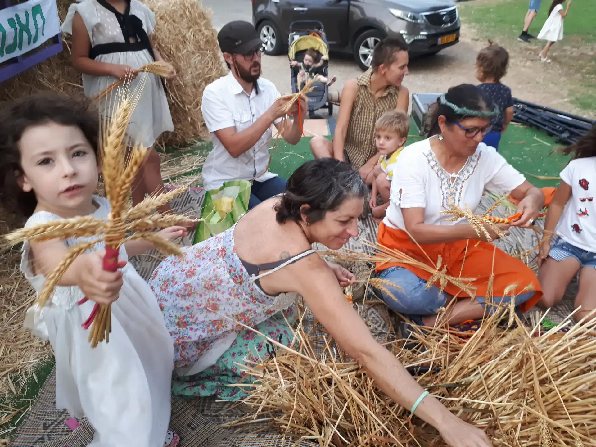 מקלעות שיבולים