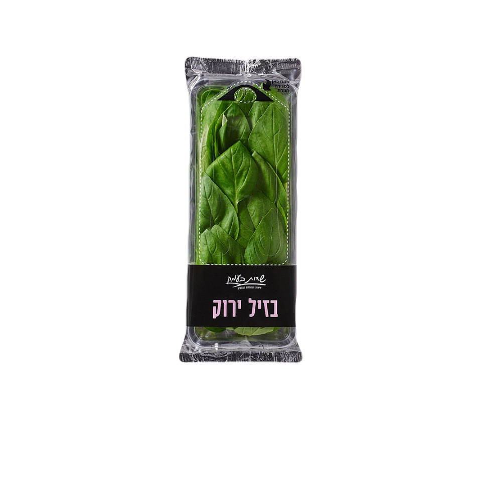 בזיליקום - 1 יחידה