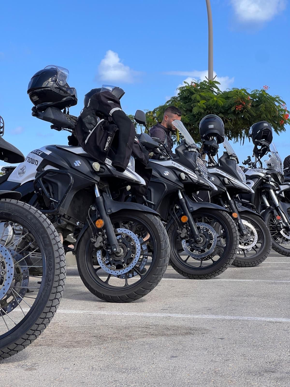 הדרכות רכיבה - שליטה בסיסית