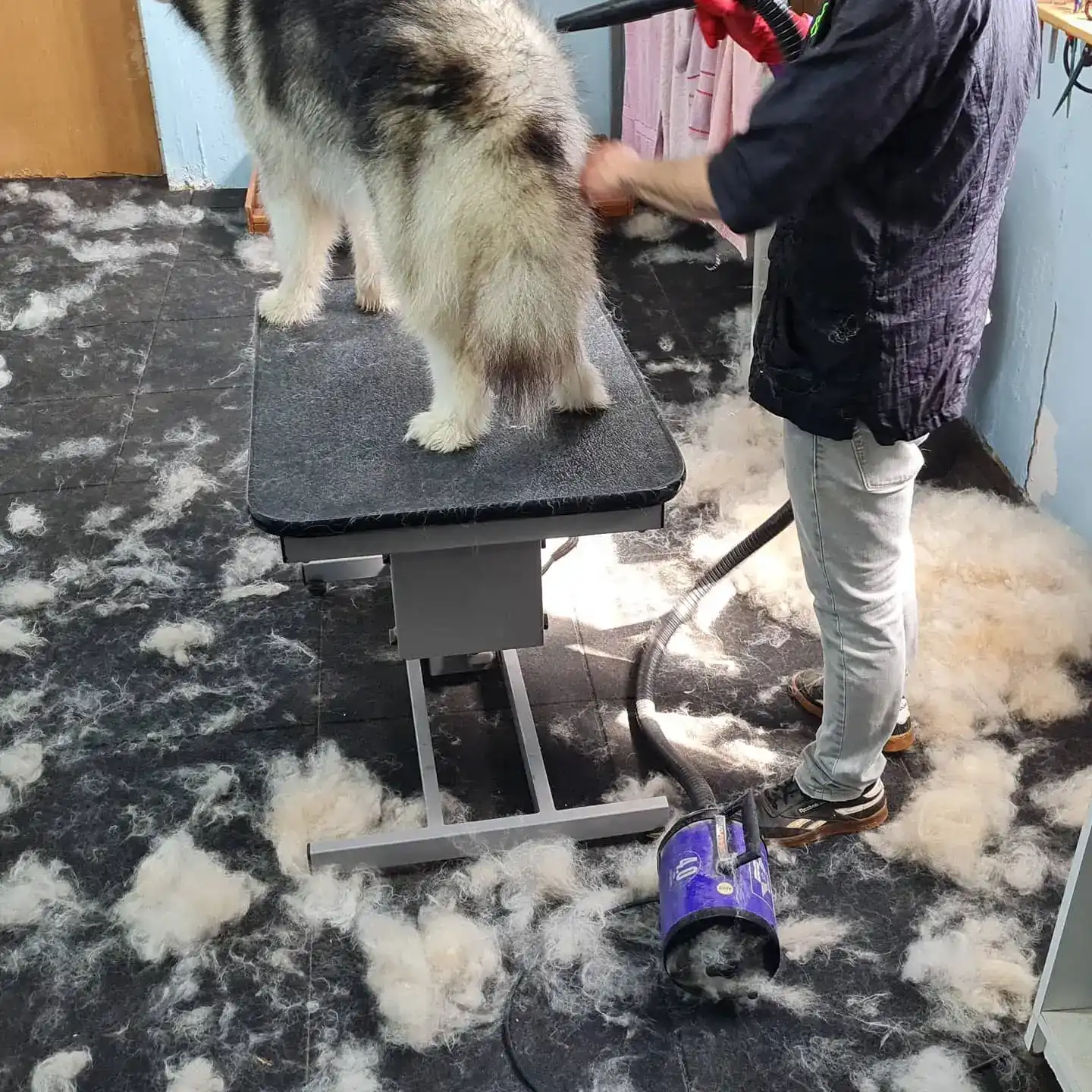 תספורת וטיפוח