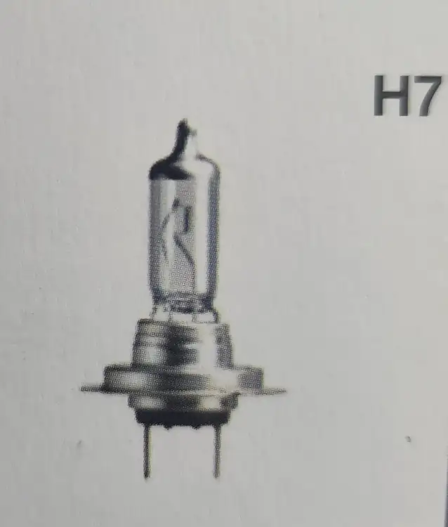 נורה H7