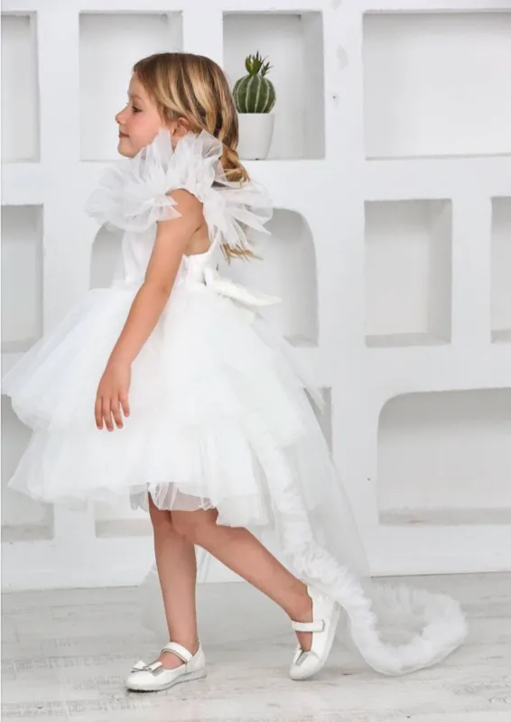 שמלת שושבינה דניאל