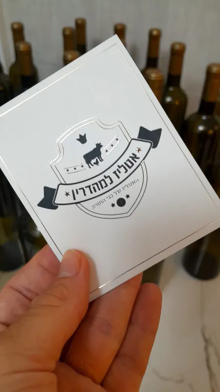 עיצוב מדבקות מיוחדות ליין