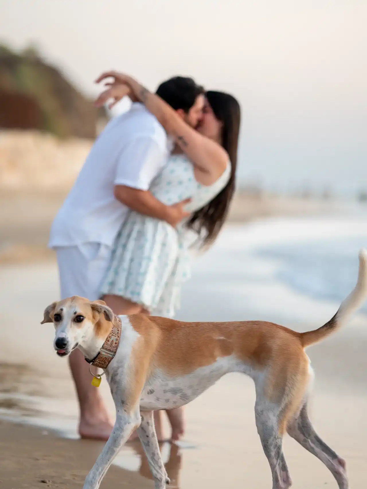 הצעת נישואין/ סייב דה דייט/זוגיות