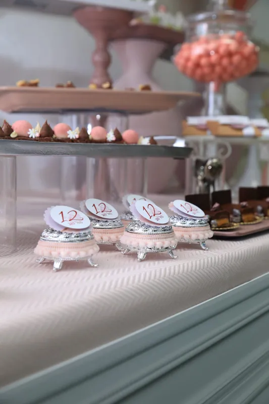 עוד מבר בת מצווה ורוד כסף