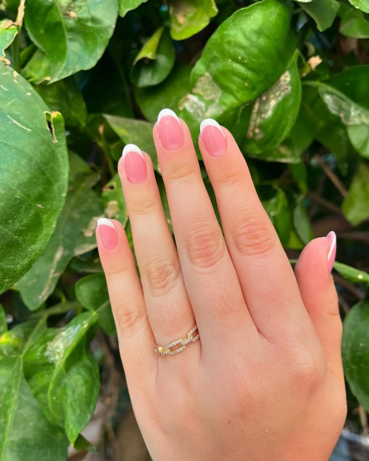 השתלמות פרימיום (אישי)