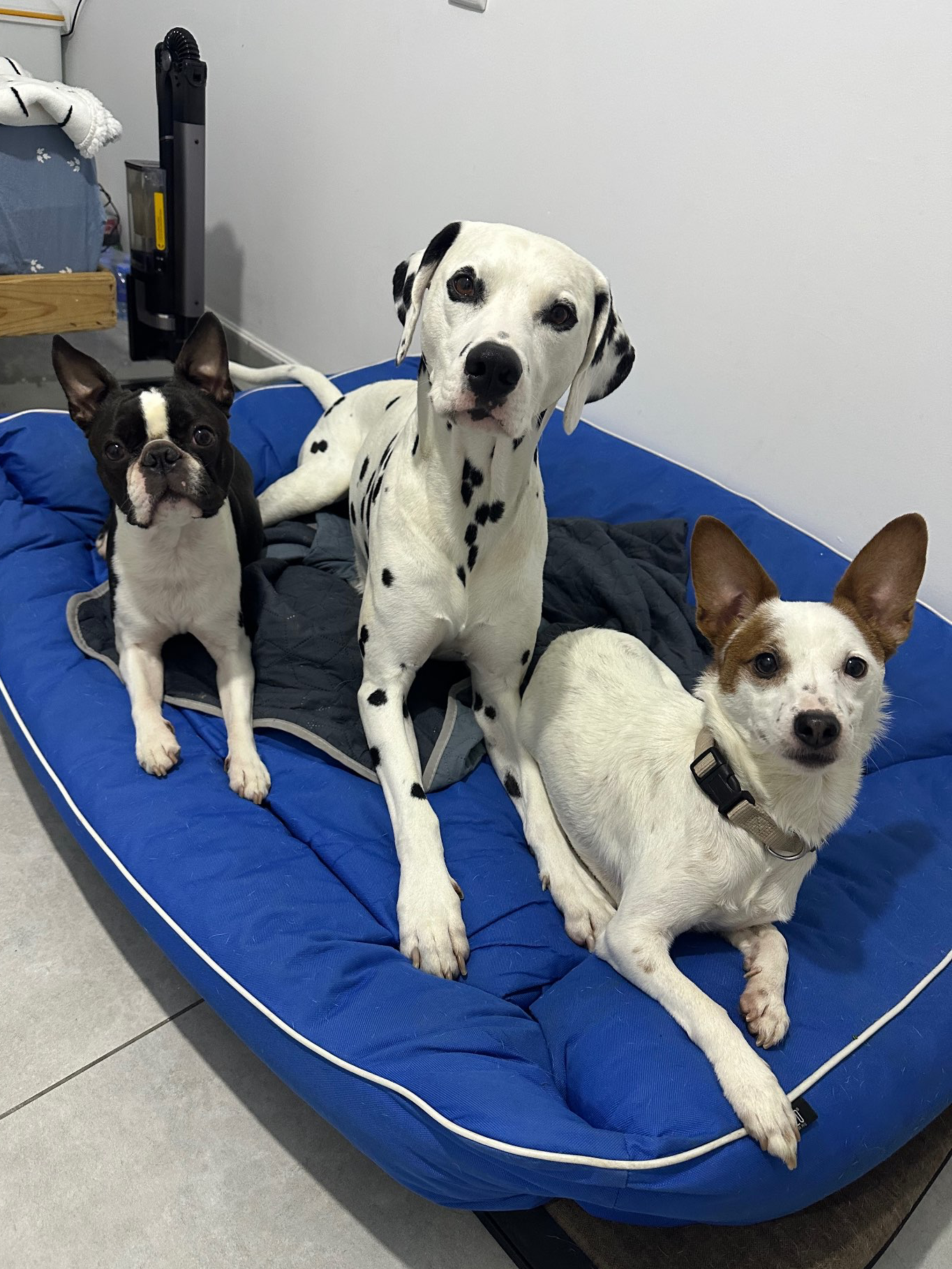 פנסיון שהות