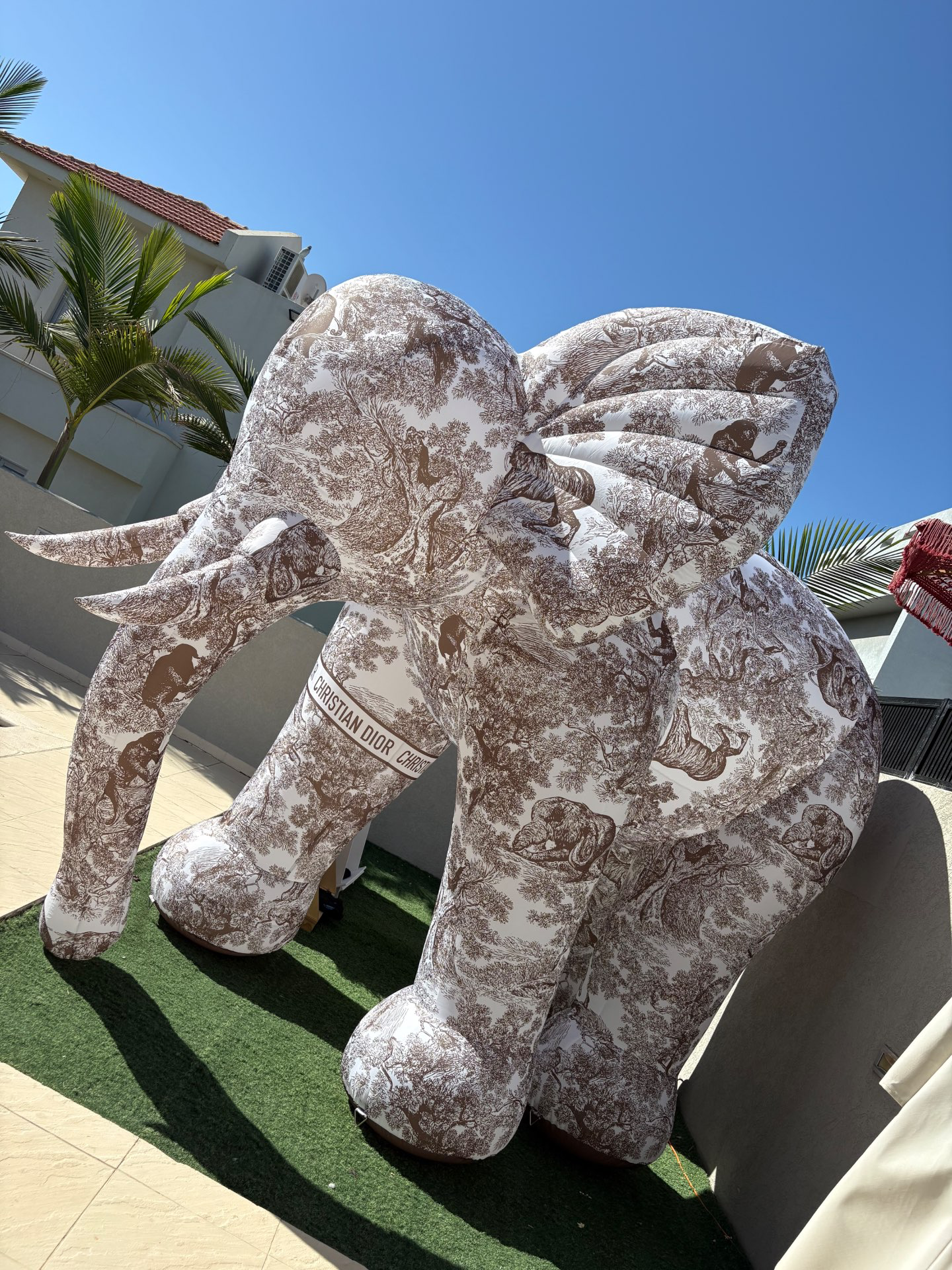 קיר צילום פיל דיור חום