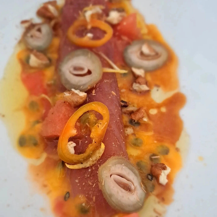 סדנאות עולם הדגים