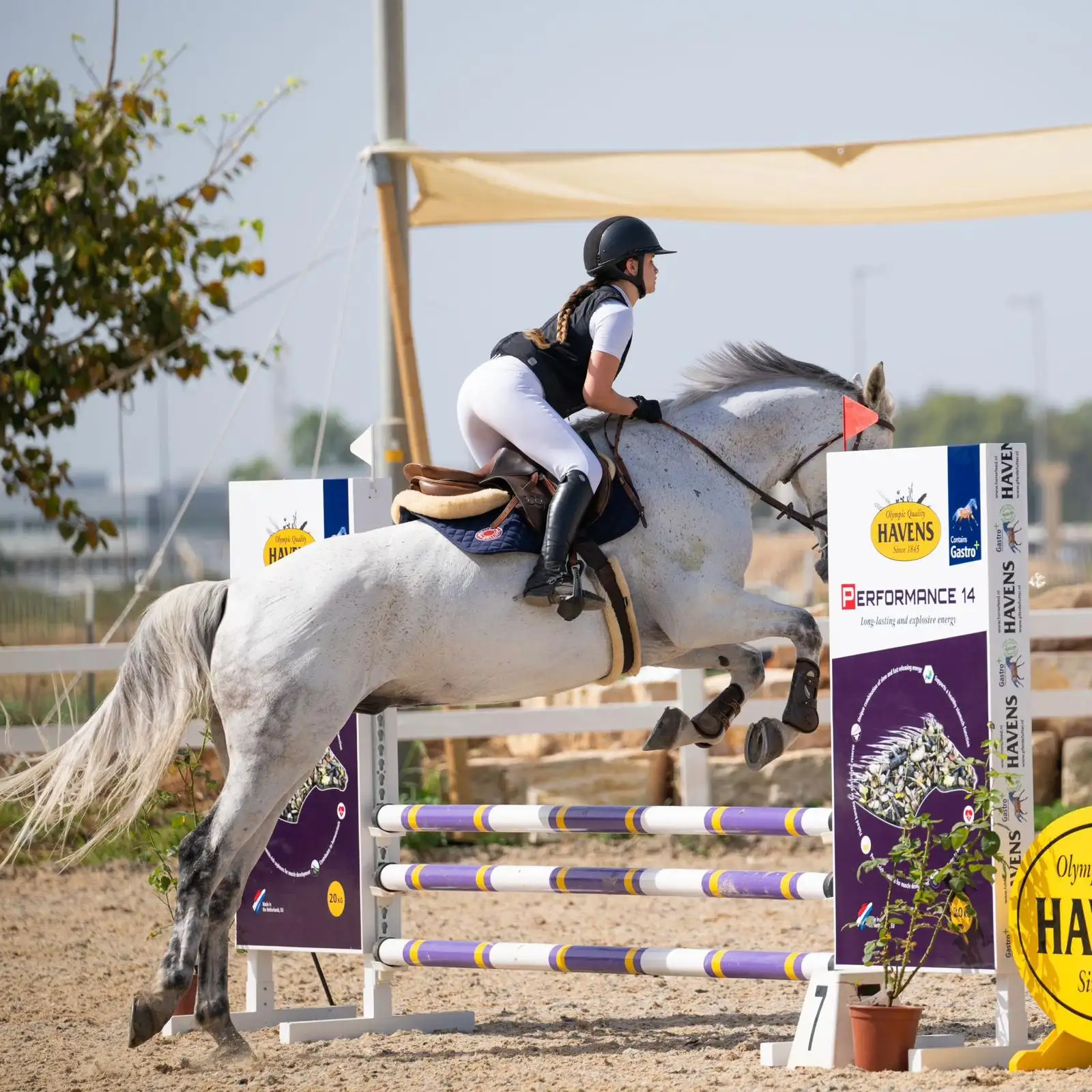 לימודי רכיבה ספורטיבית – הדרך להצלחה במרום סטייבלס