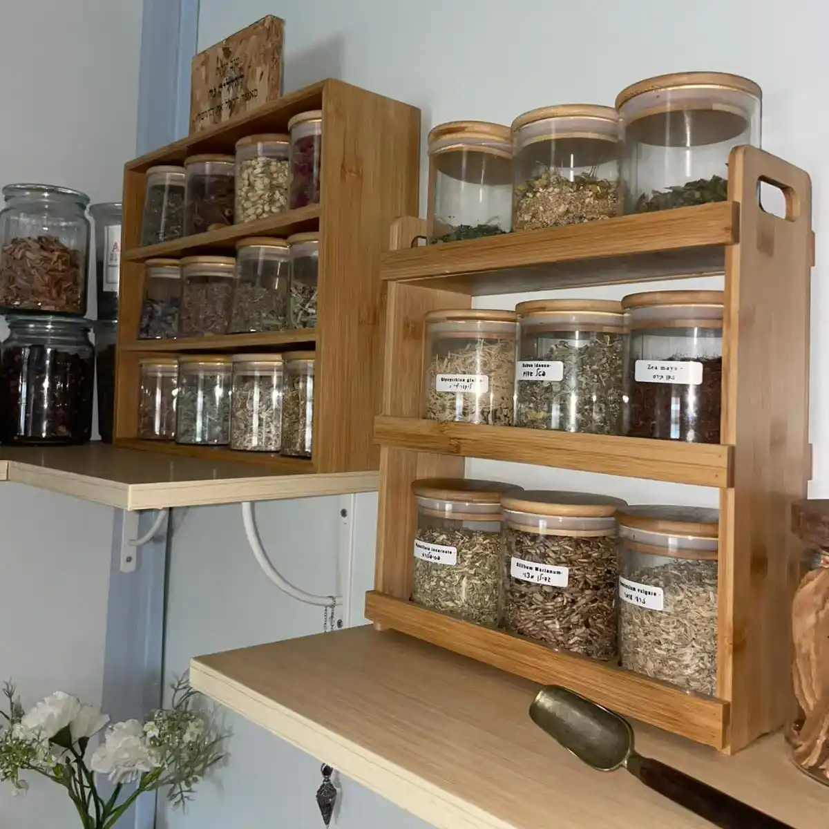 הקליניקה שלי -