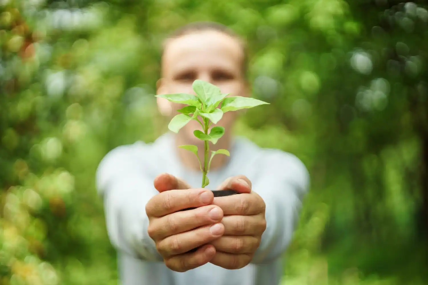 ייעוץ אקולוגי אישי בבית הלקוח